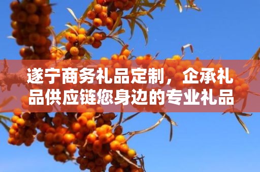遂宁商务礼品定制，企承礼品供应链您身边的专业礼品定制公司